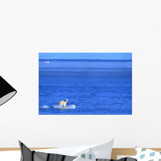 Polar Bear Standing On A Piece Of Floating Ice Wall Mural