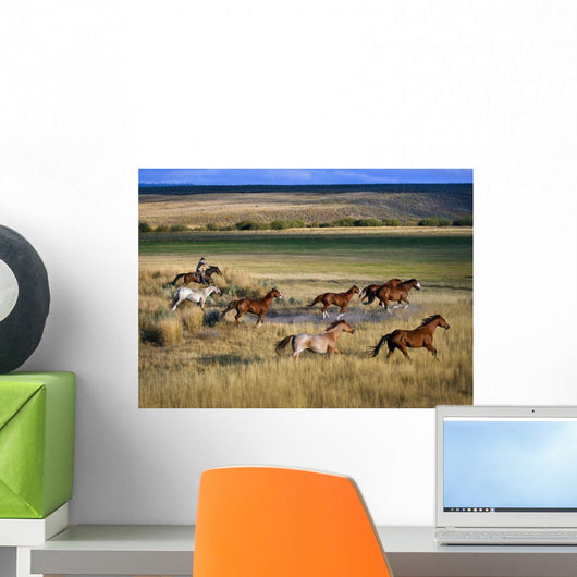 Cowboy Riding With Herd Of Horses Wall Mural