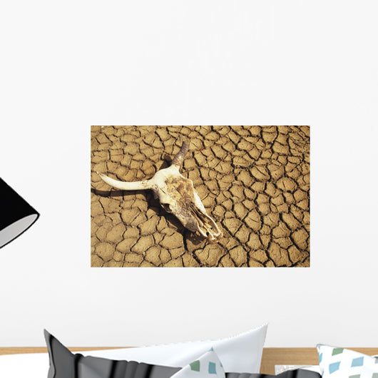 Cow Skull On Cracked Dry Mudflat Wall Mural