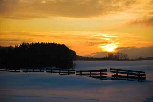 Sunset Winter Wall Decal