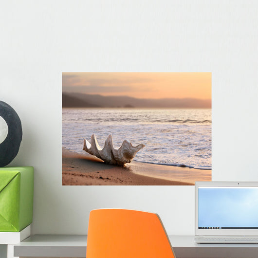 seashell on the beach Wall Mural