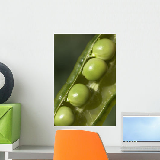 An Opened Green Pea Pod Wall Mural