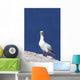 Gannet With An Attitude Staring At The Camera Wall Mural