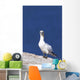 Gannet With An Attitude Staring At The Camera Wall Mural