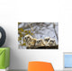 Two Gannets Interacting Wall Decal