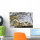 Two Gannets Interacting Wall Decal