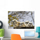 Two Gannets Interacting Wall Decal