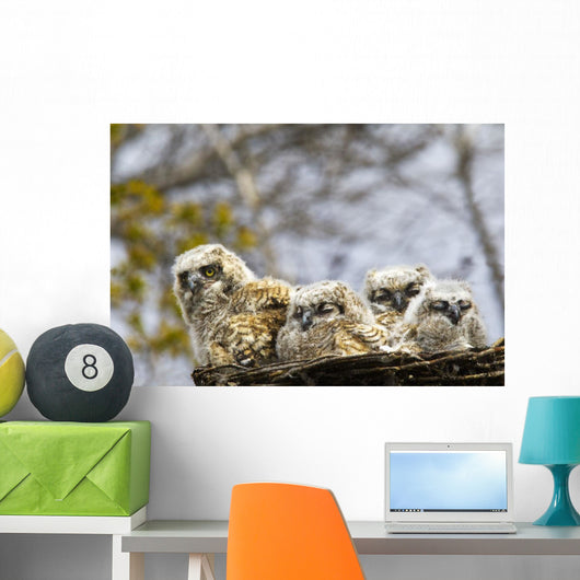 Two Gannets Interacting Wall Decal