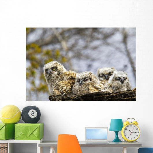 Two Gannets Interacting Wall Decal
