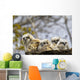 Two Gannets Interacting Wall Decal