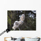 Three Great Horned Owl Chicks In A Tree Wall Mural