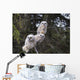 Three Great Horned Owl Chicks In A Tree Wall Mural