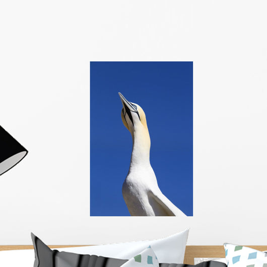 A Single Gannet Searches The Sky For Her Mate On Bonaventure Island Wall Mural