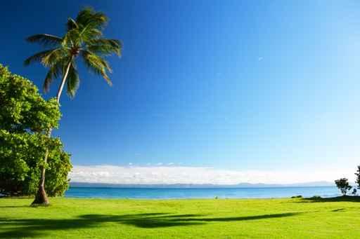 Caribbean Sea and Palms Wall Decal Design 2