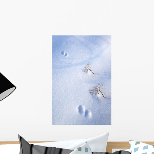 Animal Footprints In Fresh Snowfall Wall Mural