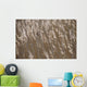 Reeds, Close Up Wall Mural