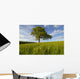 Single Oak Tree On A Hill Wall Mural