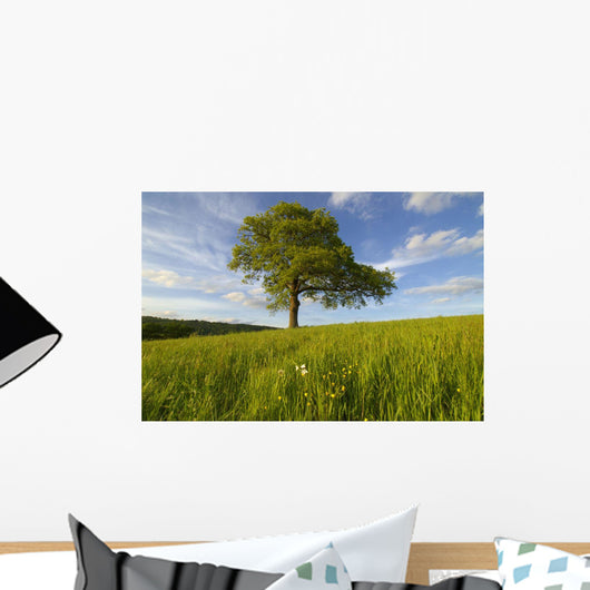 Single Oak Tree On A Hill Wall Mural