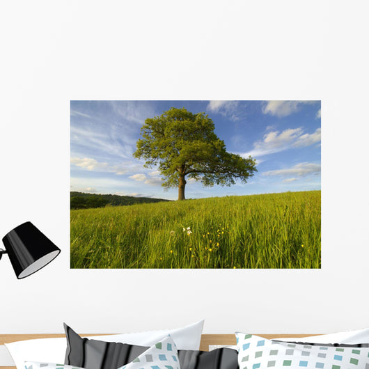 Single Oak Tree On A Hill Wall Mural