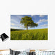 Single Oak Tree On A Hill Wall Mural