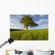 Single Oak Tree On A Hill Wall Mural