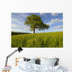 Single Oak Tree On A Hill Wall Mural