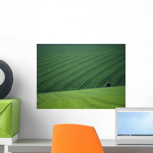 England, Green Fields With One Tree Wall Mural