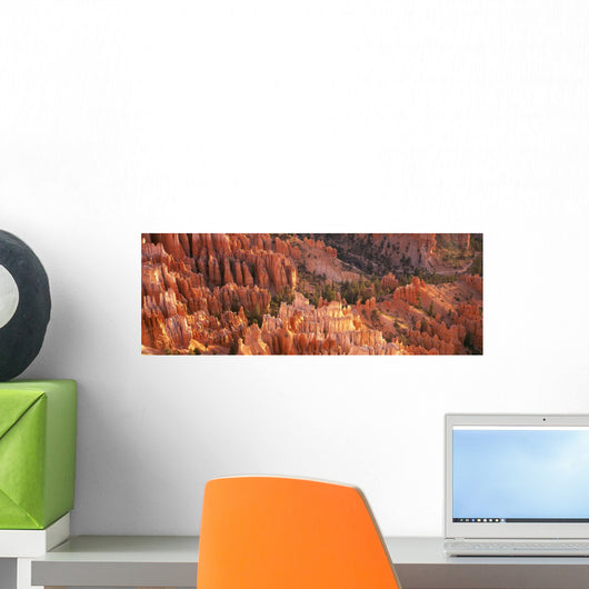Orange Rock Formations And Trees At Bryce Canyon Wall Mural