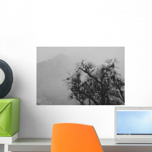 Tree And A Mountain In The Fog In Yosemite Park Wall Mural
