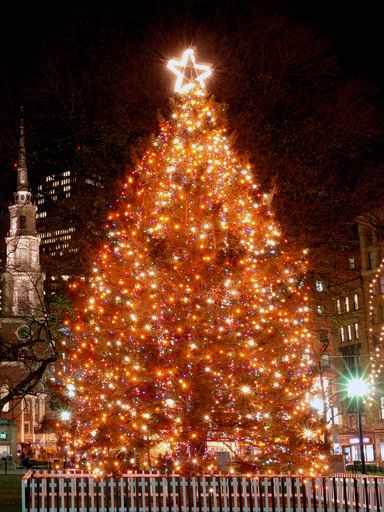 Boston's Christmas Tree Wall Decal Design 2