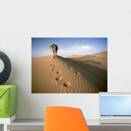 Blue Man Tribe Of Saharan Traders With Camel At Dawn In Dunes Wall Mural
