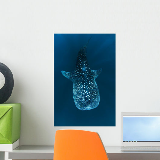 Requin baleine dans le bleu Wall Mural