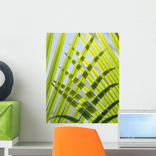 Palm Leaves, Close Up Wall Mural