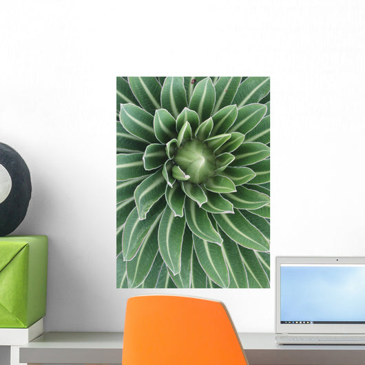 Plant On Mt Meru, Close Up Wall Mural
