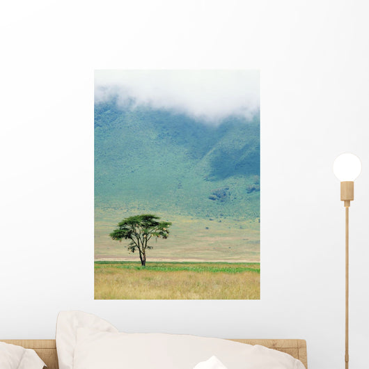 Ngorongoro Crater Wall Mural