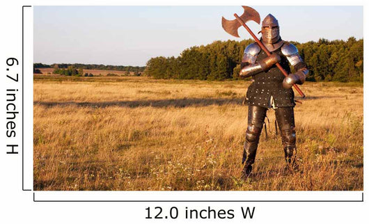 Medieval Knight Wall Mural