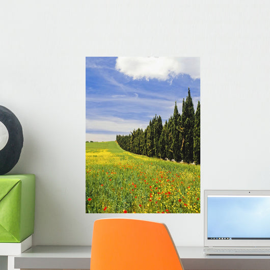 Poppies And Wild Flowers In Wheat Field Beside Line Of Cypress Trees Wall Mural