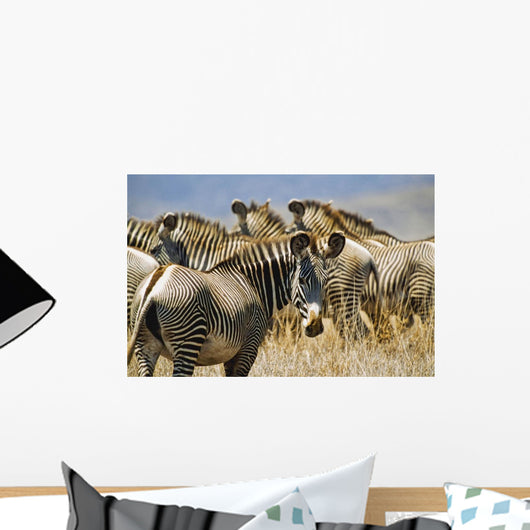 Grevy's Zebras On Savannah Wall Mural