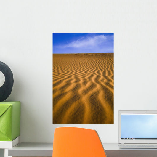Desert Wall Mural