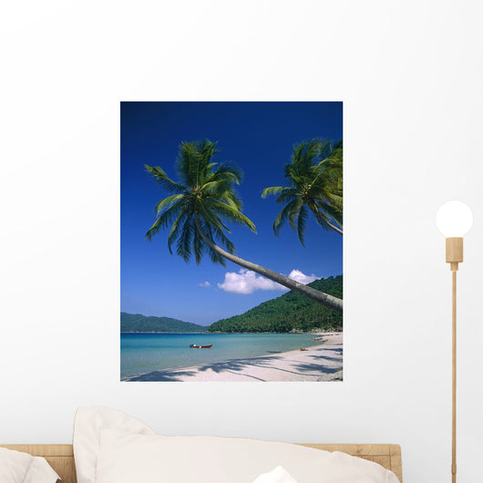 Abdul's Beach Wall Mural