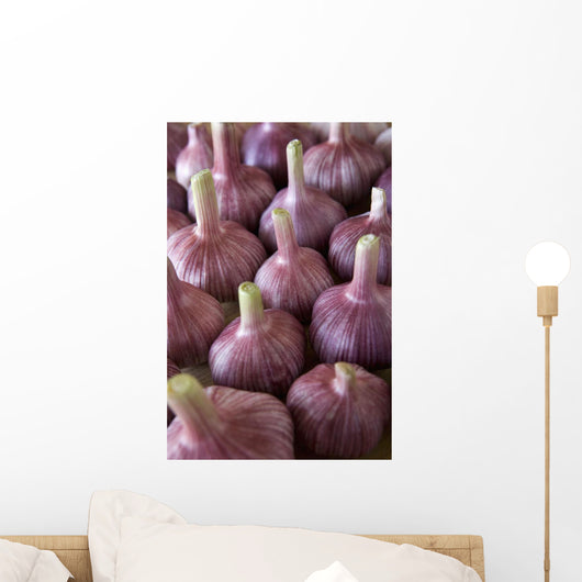 Garlic Bulbs Wall Mural