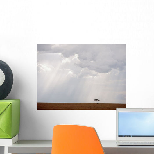 Flat-Topped Acacia Tree Beneath Stormy Skies Wall Mural