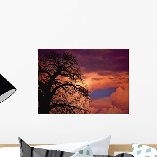 Silhouette Of Baobab Tree At Dusk Wall Mural