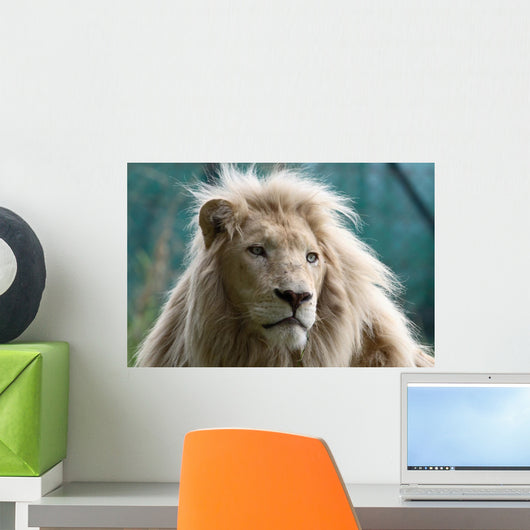 White Lion