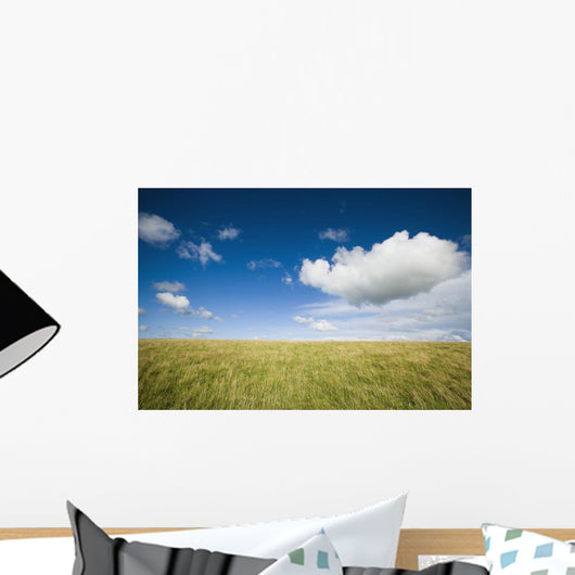 Grassy Field On Hill With Blue Skies And Clouds Wall Mural