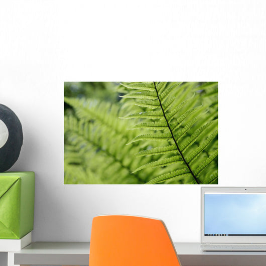 Plant Detail, Close Up Wall Mural