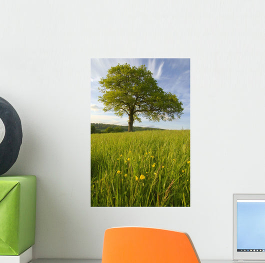 Solitary Oak Tree And Wildflowers In Field Wall Mural