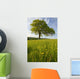 Solitary Oak Tree And Wildflowers In Field Wall Mural