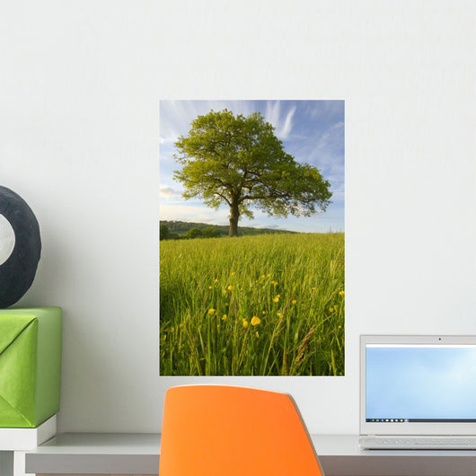 Solitary Oak Tree And Wildflowers In Field Wall Mural
