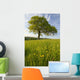 Solitary Oak Tree And Wildflowers In Field Wall Mural